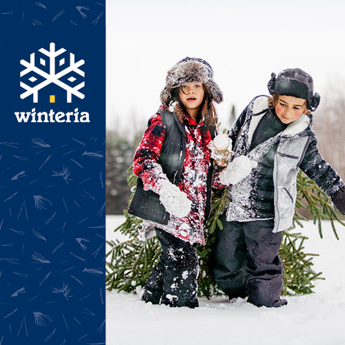 winteria_pikkukuva