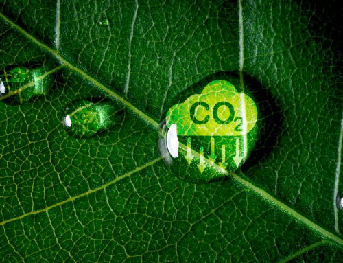 VASTUULLISUUS – YKSI ARVOISTAMME